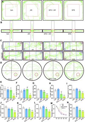 Artemisinin reduces PTSD-like symptoms, improves synaptic plasticity, and inhibits apoptosis in rats subjected to single prolonged stress